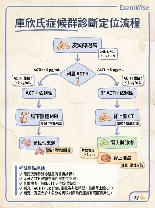 內專 - 免疫皮膚病與藥物反應 - AI 圖文解析預覽
