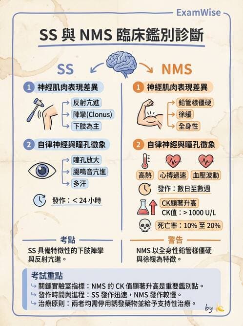 內專 - 精神藥物與成癮 - AI 圖文解析預覽
