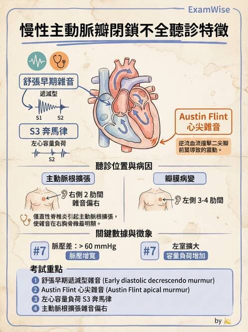 內專 - 瓣膜性心臟病 - AI 圖文解析預覽