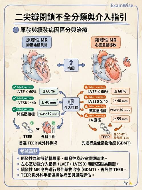 內專 - 瓣膜性心臟病 - AI 圖文解析預覽