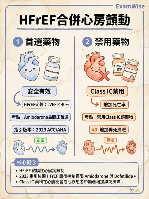 內專 - 心房顫動與上心室心律不整 - AI 圖文解析預覽