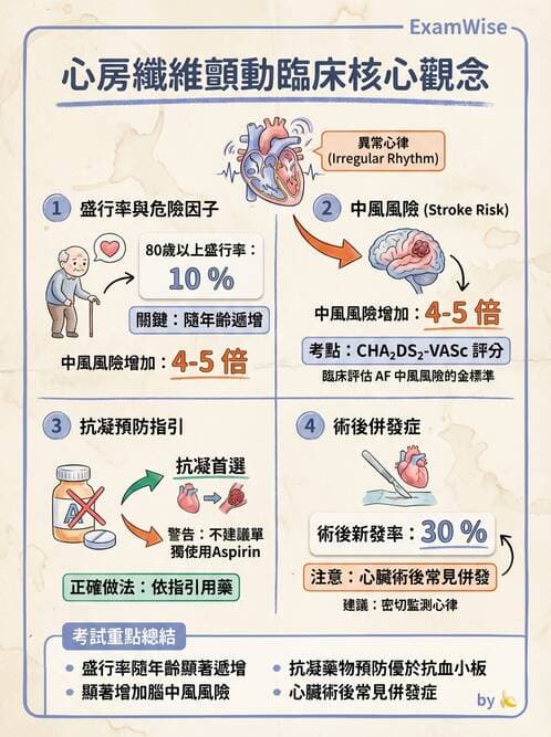 內專 - 心房顫動與上心室心律不整 - AI 圖文解析預覽