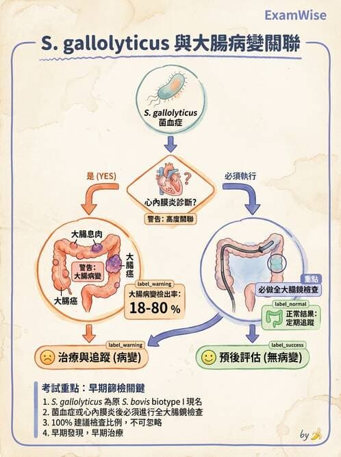 內專 - 心內膜炎與心包膜疾病 - AI 圖文解析預覽