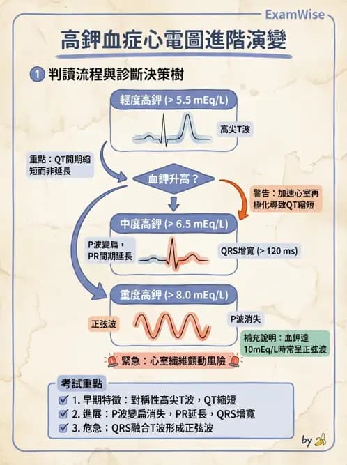內專 - 心室心律不整與心因性猝死 - AI 圖文解析預覽