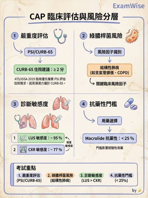 內專 - 社區性肺炎 - AI 圖文解析預覽