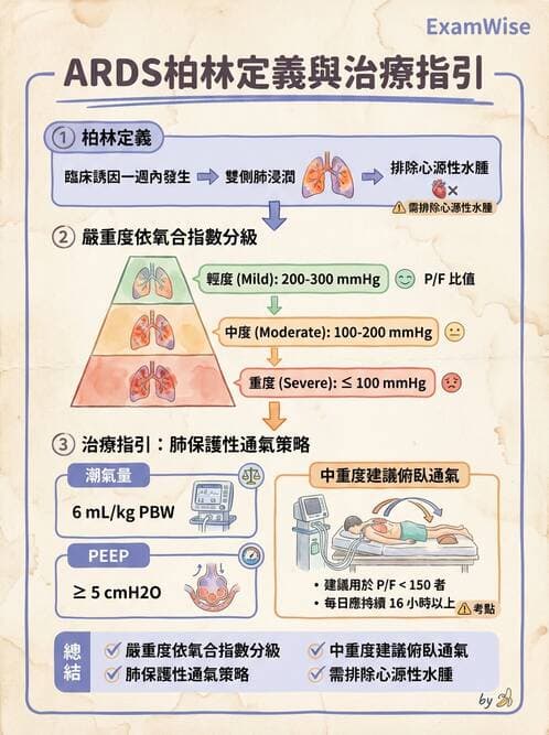 內專 - ARDS 與重症照護 - AI 圖文解析預覽
