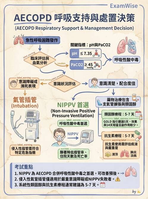 內專 - 呼吸衰竭、非侵襲性呼吸器與睡眠呼吸中止 - AI 圖文解析預覽