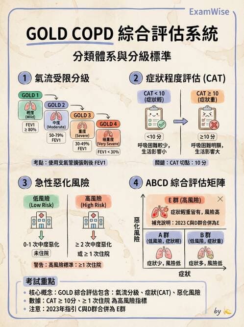 內專 - COPD 穩定期診斷與治療 - AI 圖文解析預覽