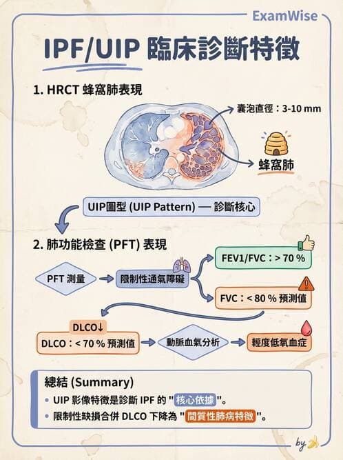 內專 - 間質性肺病與肺纖維化 - AI 圖文解析預覽