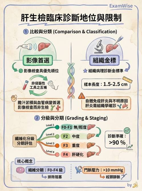 內專 - 膽汁滯留性肝病與黃疸鑑別 - AI 圖文解析預覽