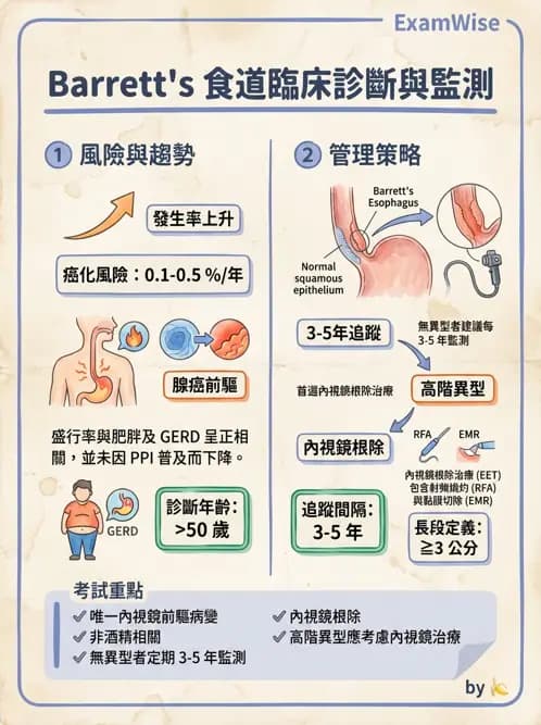 內專 - GERD、Barrett's食道與食道炎 - AI 圖文解析預覽