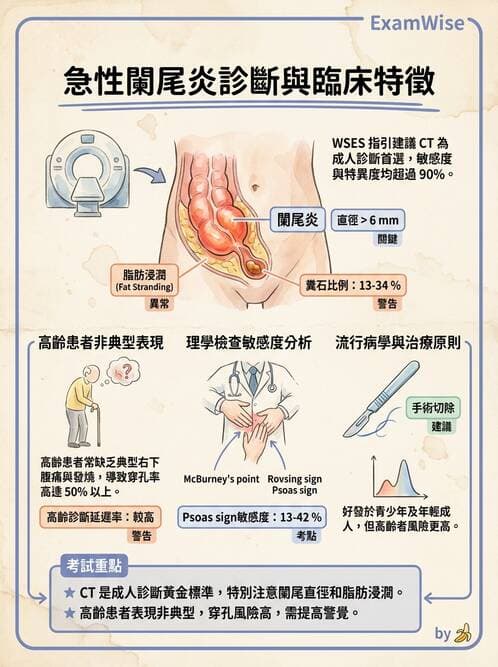 內專 - 腸道阻塞與急性腹症 - AI 圖文解析預覽
