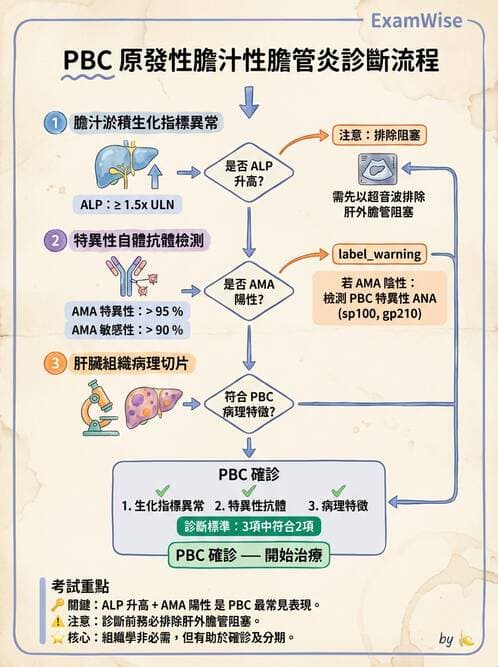 內專 - 膽汁滯留性肝病與黃疸鑑別 - AI 圖文解析預覽