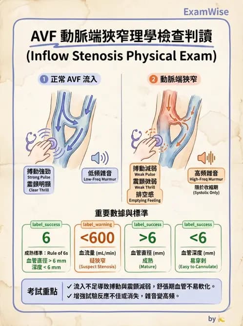 內專 - 透析與腎臟替代療法 - AI 圖文解析預覽