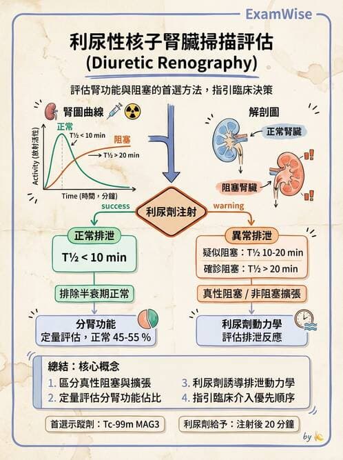 內專 - 多囊腎與腎結石 - AI 圖文解析預覽
