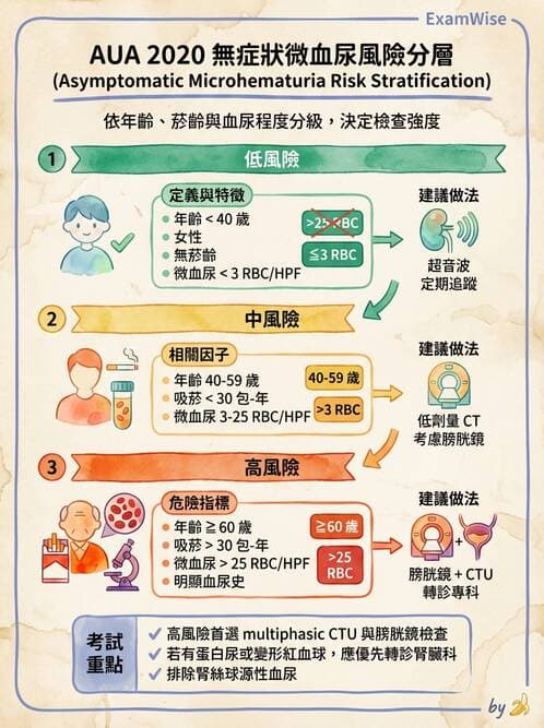 內專 - 腎間質疾病與其他 - AI 圖文解析預覽