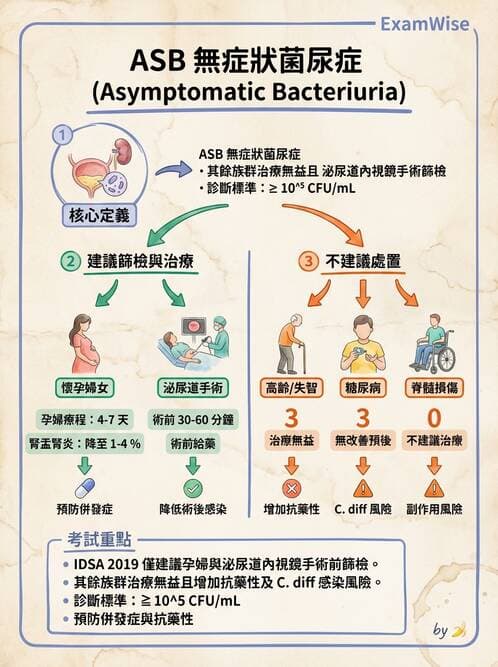 內專 - 腎間質疾病與其他 - AI 圖文解析預覽
