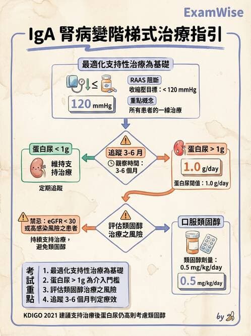 內專 - 原發性腎絲球腎炎 - AI 圖文解析預覽
