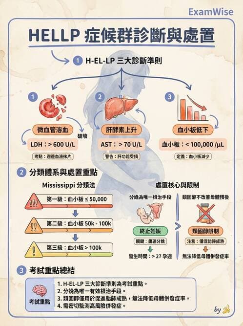 內專 - 腎血管疾病與妊娠腎病 - AI 圖文解析預覽