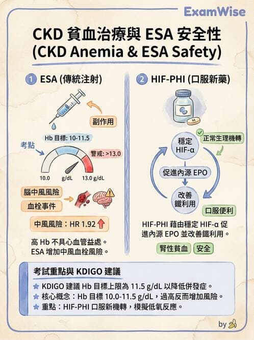 內專 - 慢性腎臟病管理 - AI 圖文解析預覽
