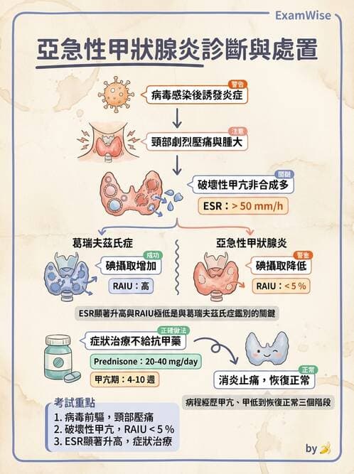 內專 - 甲狀腺疾病 - AI 圖文解析預覽