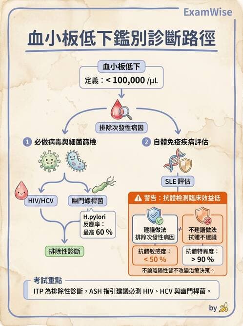 內專 - 過敏性疾病與臨床免疫治療 - AI 圖文解析預覽