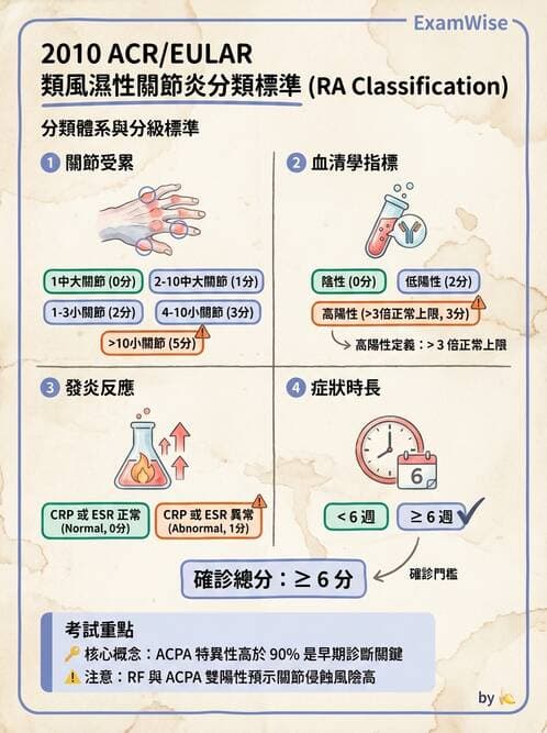 RA - 類風濕性關節炎 - AI 圖文解析預覽