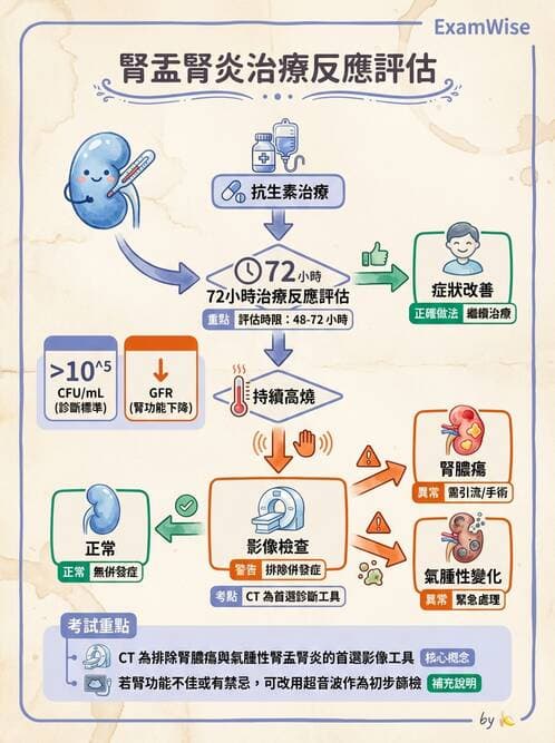 內專 - 革蘭氏陰性菌感染 - AI 圖文解析預覽