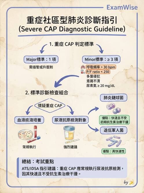 內專 - 呼吸道與中樞神經感染 - AI 圖文解析預覽