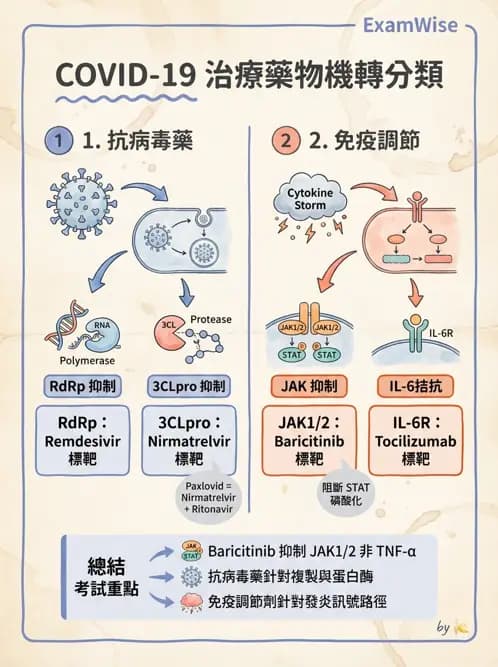 內專 - 病毒感染:COVID-19、流感與新興傳染病 - AI 圖文解析預覽