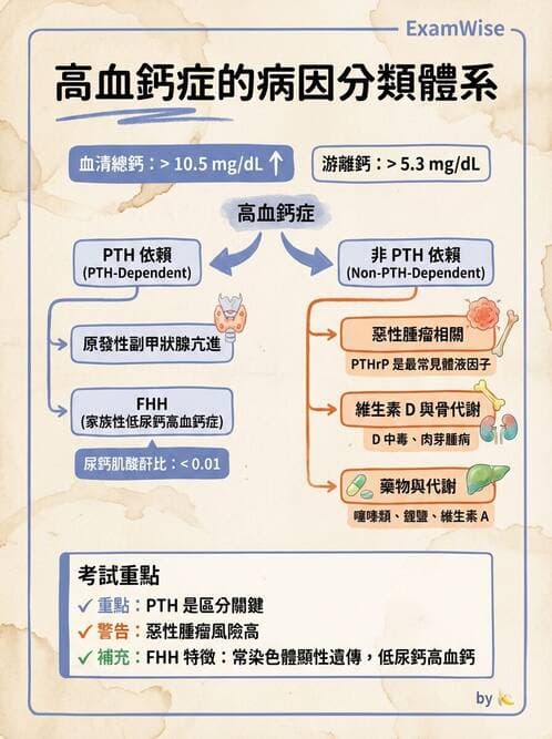 內專 - 副甲狀腺與鈣代謝異常 - AI 圖文解析預覽