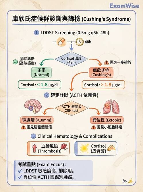 內專 - 腎上腺皮質疾病 - AI 圖文解析預覽