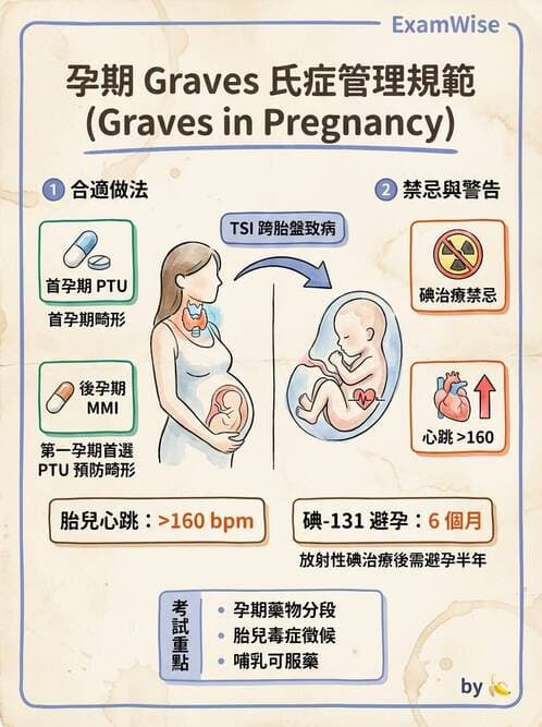 內專 - 甲狀腺疾病 - AI 圖文解析預覽