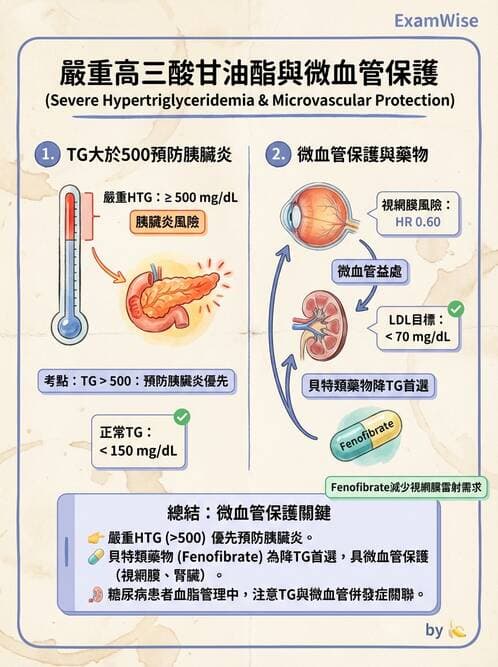 內專 - 糖尿病心血管保護與血脂異常 - AI 圖文解析預覽
