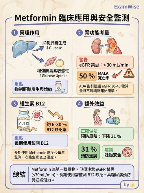 內專 - 口服降血糖藥物機轉與比較 - AI 圖文解析預覽