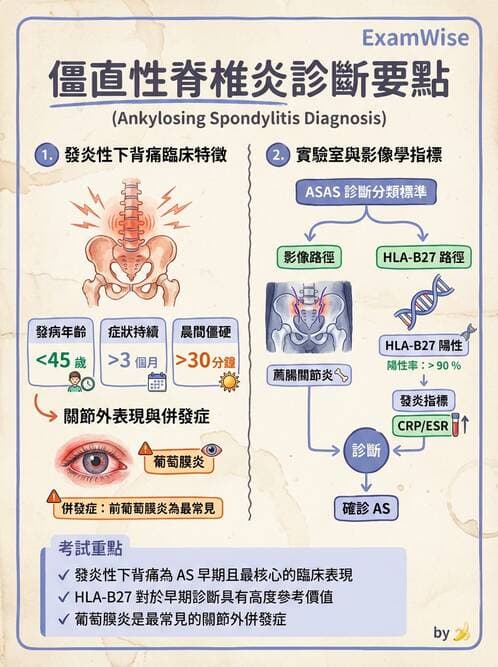 內專 - 脊椎關節病變 - AI 圖文解析預覽