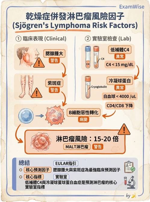 內專 - 乾燥症與IgG4相關疾病 - AI 圖文解析預覽