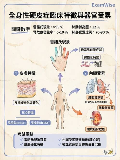內專 - 系統性硬化症 - AI 圖文解析預覽
