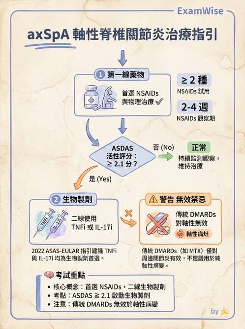 內專 - 脊椎關節病變 - AI 圖文解析預覽