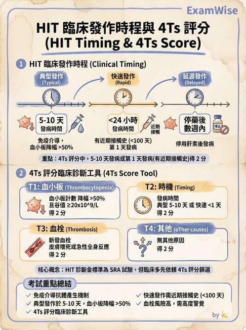 內專 - 凝血與輸血 - AI 圖文解析預覽