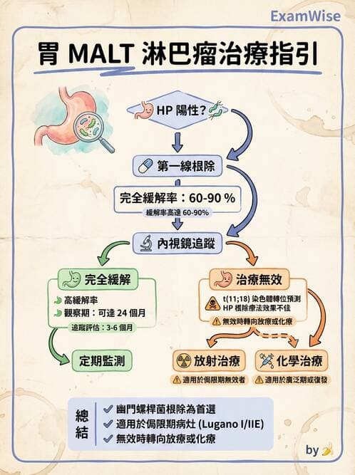內專 - 淋巴瘤與多發性骨髓瘤 - AI 圖文解析預覽
