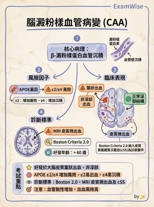 內專 - 腦血管疾病 - AI 圖文解析預覽