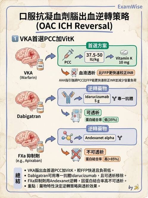 內專 - 腦血管疾病 - AI 圖文解析預覽