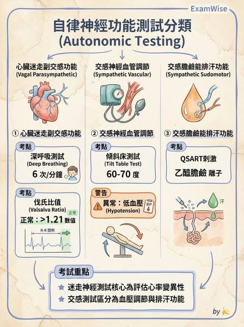 內專 - 神經肌肉接合與周邊神經疾病 - AI 圖文解析預覽
