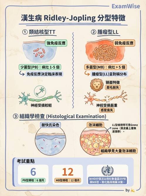 內專 - 皮膚感染症 - AI 圖文解析預覽