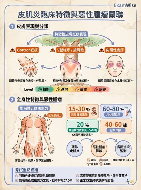 內專 - 免疫皮膚病與藥物反應 - AI 圖文解析預覽