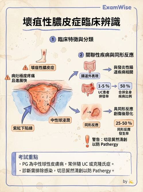 內專 - 免疫皮膚病與藥物反應 - AI 圖文解析預覽
