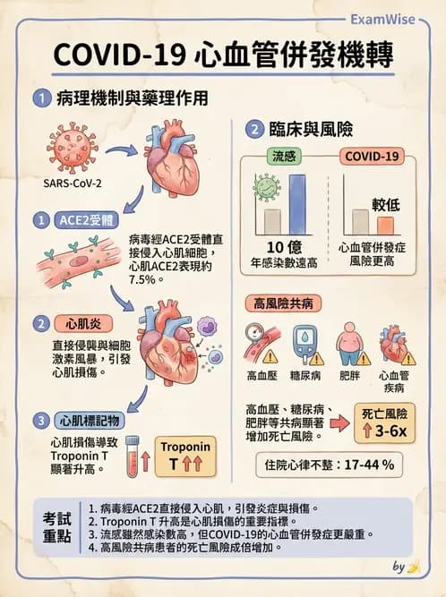 內專 - 慢性冠心病與預防 - AI 圖文解析預覽