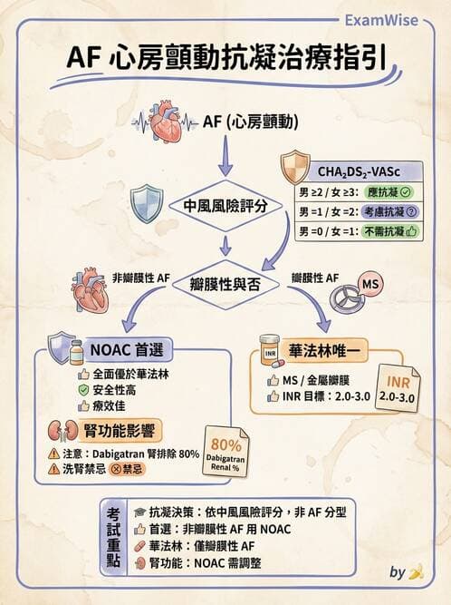 內專 - 心房顫動與上心室心律不整 - AI 圖文解析預覽