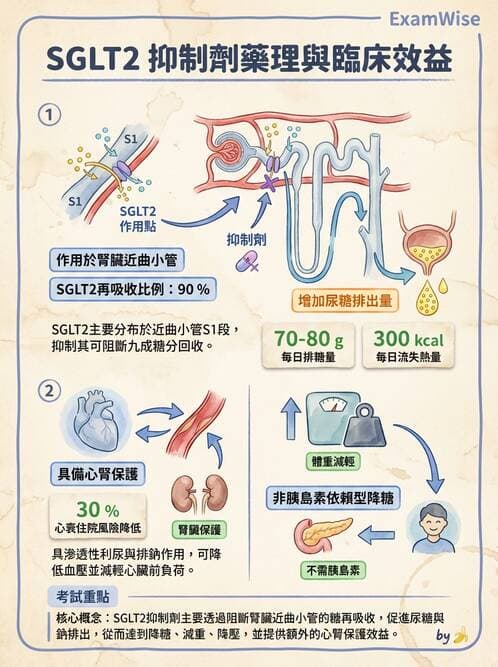 內專 - 高血壓 - AI 圖文解析預覽